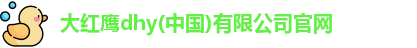 大红鹰dhy(中国)有限公司官网